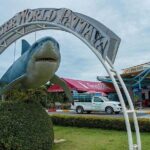 Admission Ticket to Underwater World Pattaya with Return Transfer - Final Thoughts