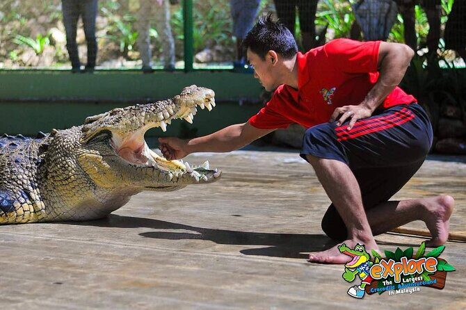 Adventure Combo - A Detailed Look at the Crocodile Adventureland Tour