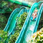 Adventure Cove Waterpark + 1 Way Transfer - Who Will Enjoy This Tour?