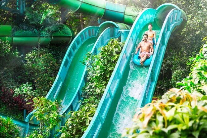 Adventure Cove Waterpark + 1 Way Transfer - Who Will Enjoy This Tour?