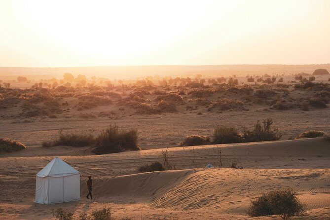 Adventure Night With Cultural Show - What Travelers Say About This Tour