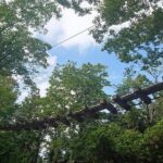 Aerial athletics (Zipline adventure) - FAQs