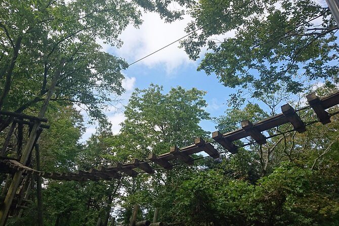 Aerial athletics (Zipline adventure)