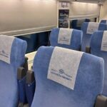 Afrosiyob high speed train tickets - Guaranteed Pass - A Closer Look at the Experience