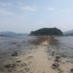 Afternoon Hiking Tour Sharp Island Geopark - From Reviews: Authentic Perspectives