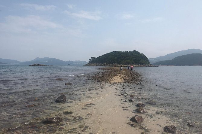 Afternoon Hiking Tour Sharp Island Geopark - From Reviews: Authentic Perspectives