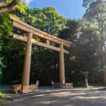 Afternoon Small Group Tour in Tokyo - What Could Be Better