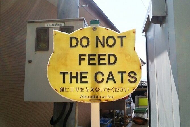 Ainoshima Cat Island Day Trip from Fukuoka - Final Thoughts