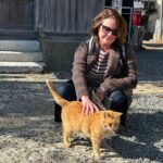 Ainoshima Island Cats Culture and Scenic Beauty Tour - The Fishing Port and Its Feline Residents