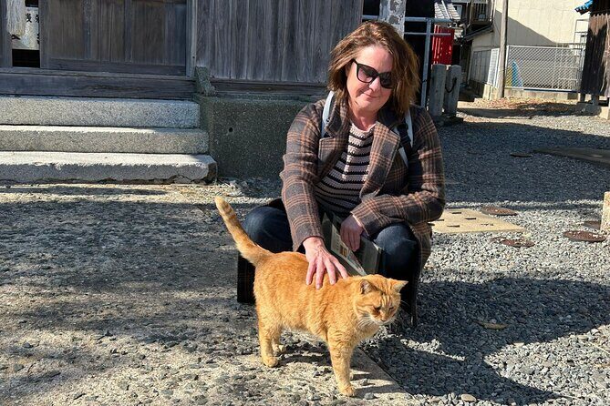 Ainoshima Island Cats Culture and Scenic Beauty Tour - The Fishing Port and Its Feline Residents