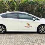 Airport Taxi Transfers from Colombo Airport to Sigiriya - More About the Experience