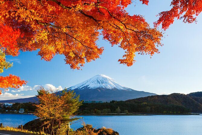 Airport transfer between Narita and Mount Fuji or Hakone Onsen - FAQs