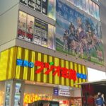 Akihabara Tour with Anime and Video Games Otaku Licensed Guide - Photos and Personal Touches