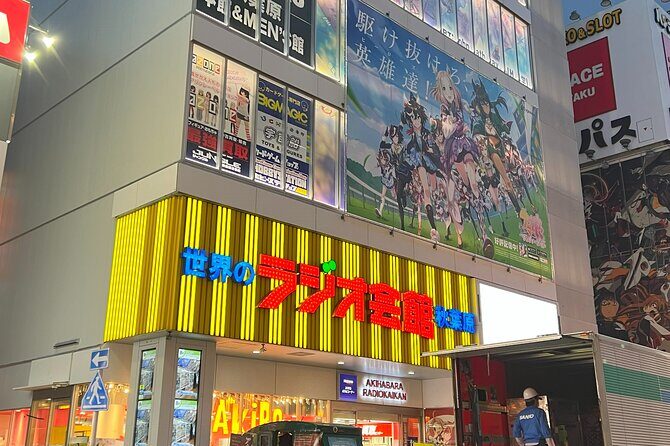Akihabara Tour with Anime and Video Games Otaku Licensed Guide - Photos and Personal Touches