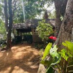 Akka Nago Cooking Class & Resturant - What We Love About This Tour