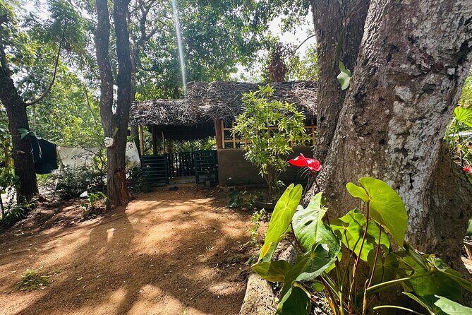 Akka Nago Cooking Class & Resturant - What We Love About This Tour