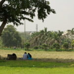 Akshardham Temple with Walk in the Green Paradise of Rajghat and Shanti Van - Why This Tour Offers Great Value
