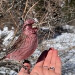 Ala Archa Nature Park Essential Tour - Authentic Experience & Practical Tips