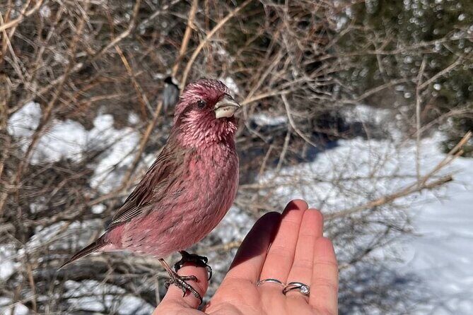 Ala Archa Nature Park Essential Tour - Authentic Experience & Practical Tips