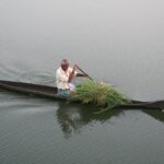 Aleppey House Boat Cruise, Cochin Excursions from Cruise Terminal - Why This Tour Offers Good Value