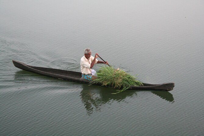 Aleppey House Boat Cruise, Cochin Excursions from Cruise Terminal - Why This Tour Offers Good Value