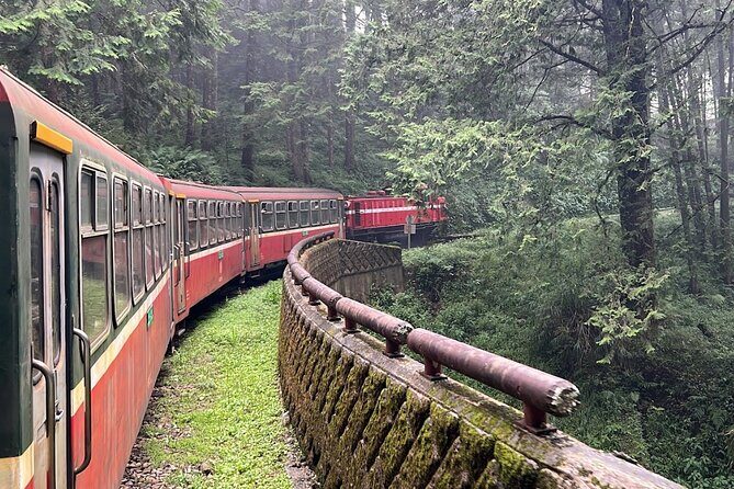 Alishan Day Tour from Chiayi (Incl. Park Entrance) - Exploring the Itinerary in Detail