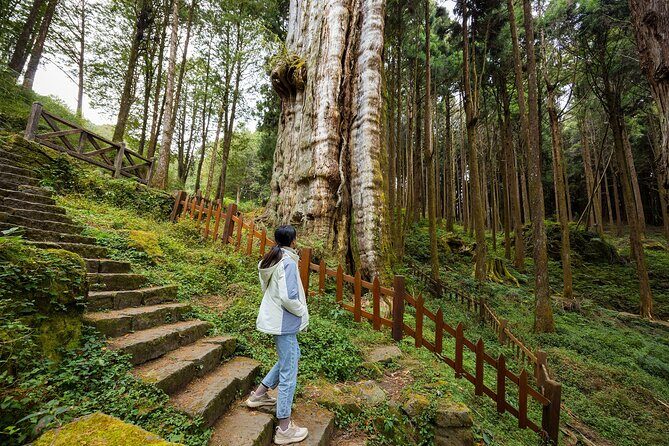 Alishan Taiwan 2 Day Private Tour from Taipei - Who Would Love This Tour?