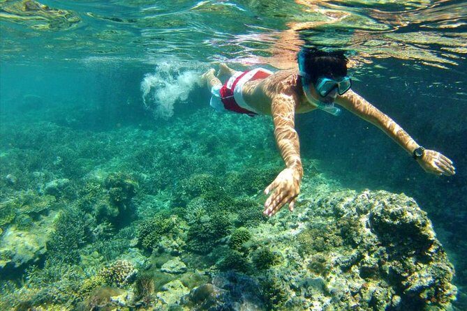 All INCLUSIVE Bali snorkeling at blue lagoon and tanjung jepun - What Travelers Say: Authentic Experiences in Action