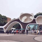 All Inclusive Chengdu Private Day Tour to Panda Breeding Base andCity Highlights - Who Should Consider This Tour?