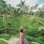 All inclusive Private 3 day tours package : Bali highlights - Who Will Love This Tour?
