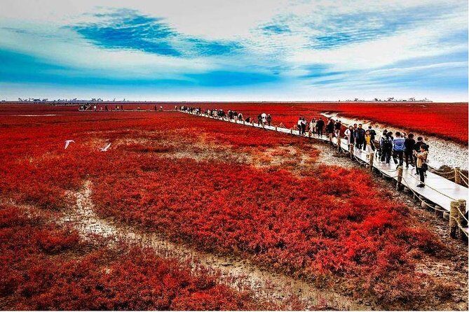 All-Inclusive Private Day Tour to Red Beach in Panjin City - Authentic Experiences and Expert Guidance
