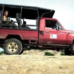 All Inclusive Private Full Day Safari in Yala National Park with Lunch - FAQs