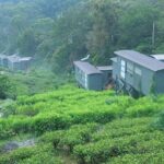 All Inclusive - Private Overnight Rain forest adventure in Sinharaja - The Value of a Guided Private Tour