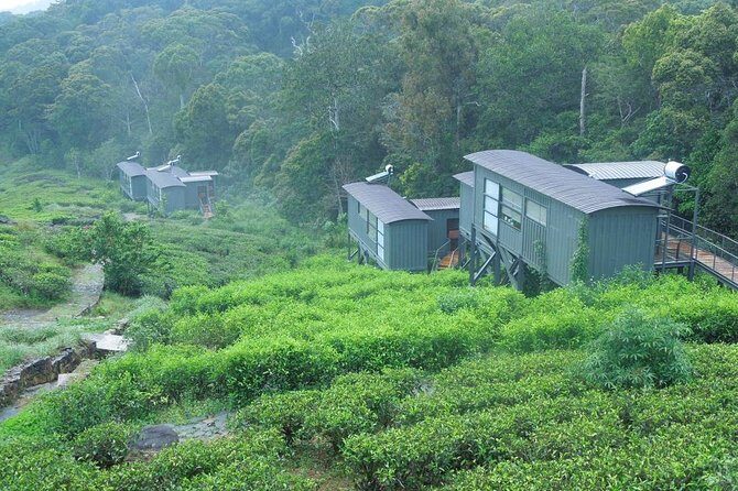 All Inclusive - Private Overnight Rain forest adventure in Sinharaja - The Value of a Guided Private Tour