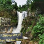 All inclusive Ubud private tour - Why This Tour Works for You