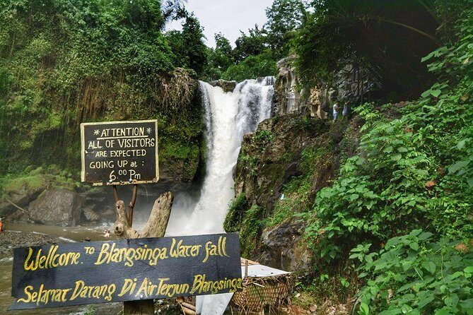 All inclusive Ubud private tour - Why This Tour Works for You