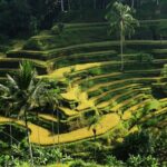 All-Inclusive Ubud's Wonder Day Tour - Authenticity and Authentic Experiences
