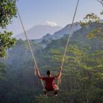 All Inclusives Bali Private Tour Temples Palaces and Nature - Who Is This Tour Best For?