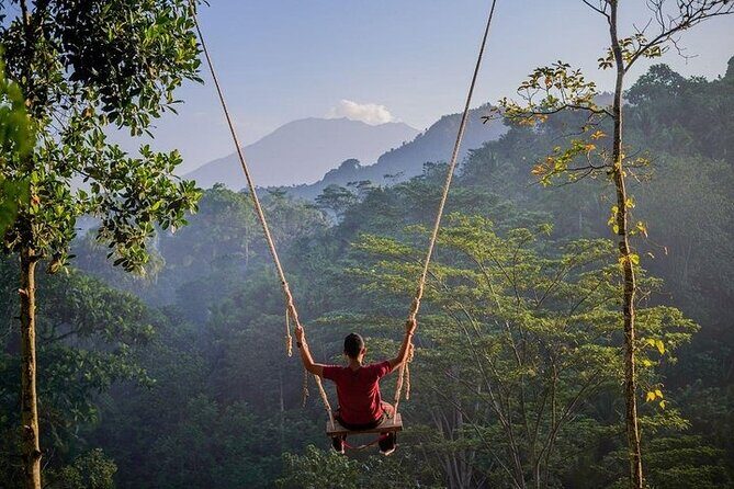 All Inclusives Bali Private Tour Temples Palaces and Nature - Who Is This Tour Best For?