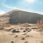 Almaty to Altyn-Emel National Park Private Tour - Who Will Love This Tour?