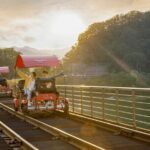 Alpaca World with Gangchon Rail Park One Day Tour - Who Will Enjoy This Tour?