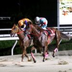 Amagasaki Retro Tour: Showa era-style bar & horse race experience - Why This Tour Is a Great Fit