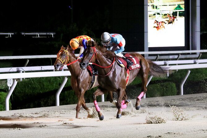 Amagasaki Retro Tour: Showa era-style bar & horse race experience - Why This Tour Is a Great Fit