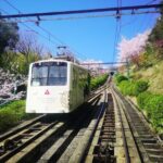 Amanohashidate & Miyama 1-Day Bus Tour: From Osaka/Kyoto w/ Lunch - Who Would Love This Tour?