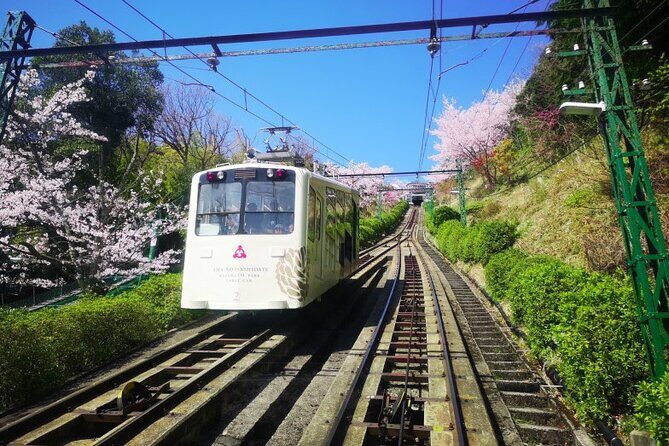 Amanohashidate & Miyama 1-Day Bus Tour: From Osaka/Kyoto w/ Lunch