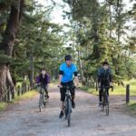 Amanohashidate Sand bar & culture e-bike tour - Exploring Hidden Gems: Chion-ji Temple and Beyond