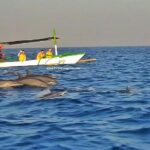 Amazing Private Tours: Dolphins Lovina and Gitgit Waterfall include Lunch - The Bottom Line: Is It Worth It?