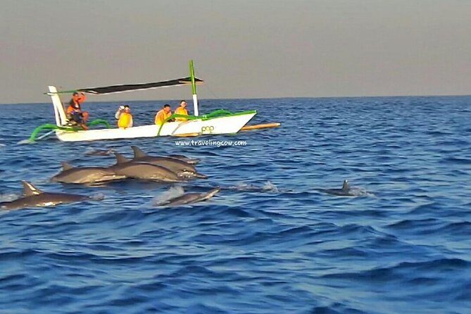 Amazing Private Tours: Dolphins Lovina and Gitgit Waterfall include Lunch - The Bottom Line: Is It Worth It?