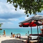 Amazing Ubud and Uluwatu Sunset Tour with Dinner Packages - Who Will Enjoy This Tour?