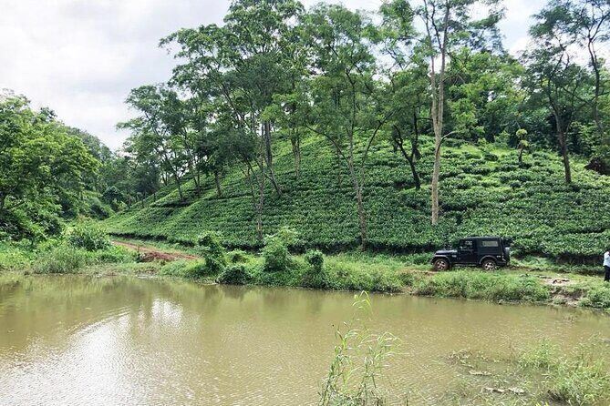 Amchong Tea Estate + Factory Visit (with Hi-tea only) - FAQs